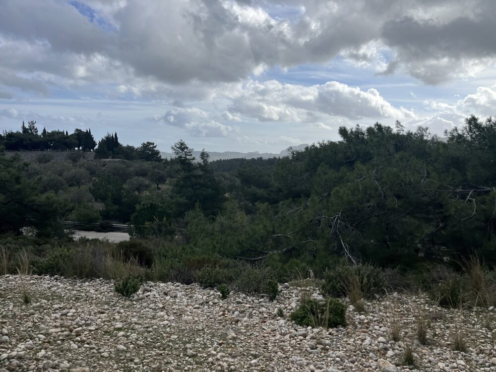 (for sale) Land Land || Dodekanisa Prefecture / Rhodes - 12000.0sq.m, 50.000€