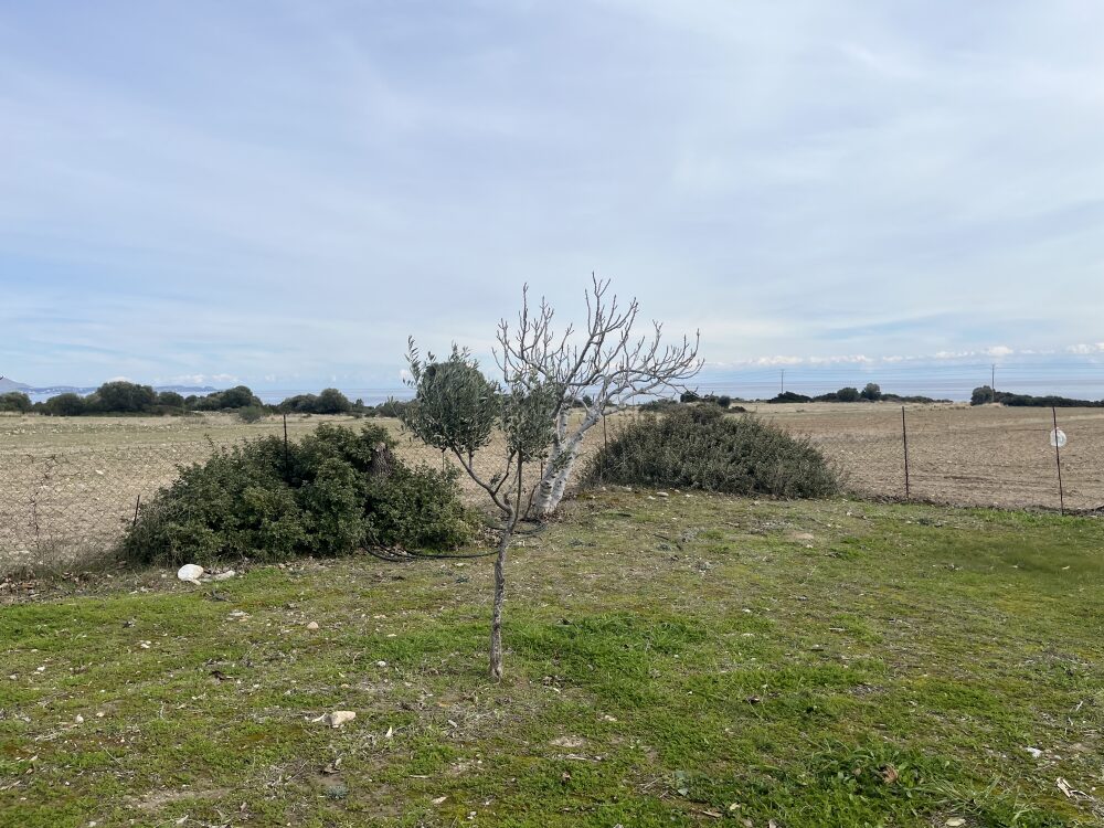 (for sale) Land Land || Dodekanisa Prefecture / Rhodes - 33700.0sq.m, 1.350.000€