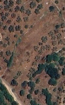 (for sale) Land Land || Lakonia Prefecture / Therapni - 12000.0sq.m, 12.000€