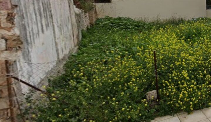 (for sale) Land Island || Athens center / Kolonos - Kolokinthous - 168.0sq.m, 240.000€