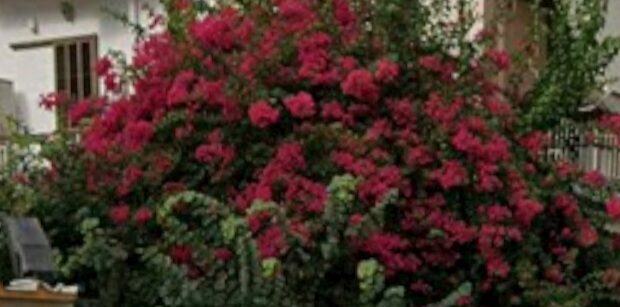 (for sale) Land Plot || Athens west suburbs / Peristeri - 320.0sq.m, 280.000€