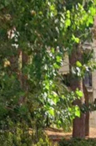 (for sale) Land Plot || Athens west suburbs / Peristeri - 503.0sq.m, 390.000€