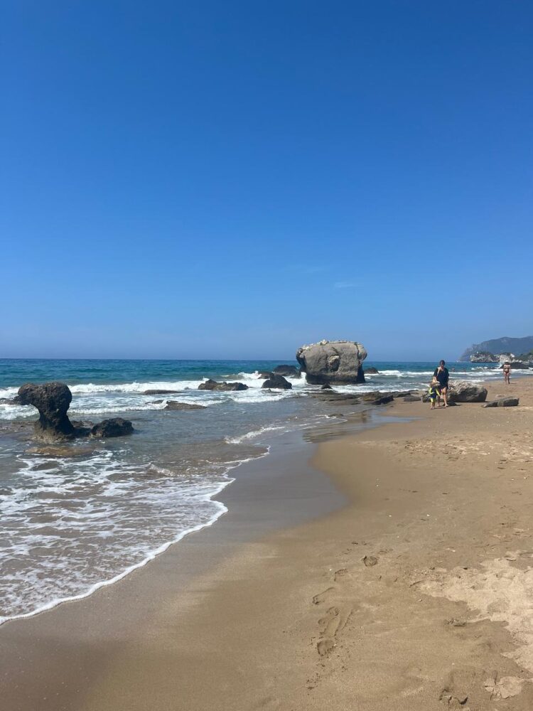 (for sale) Land Plot || Corfu Prefecture / Corfu - 9000.0sq.m, 1.200.000€