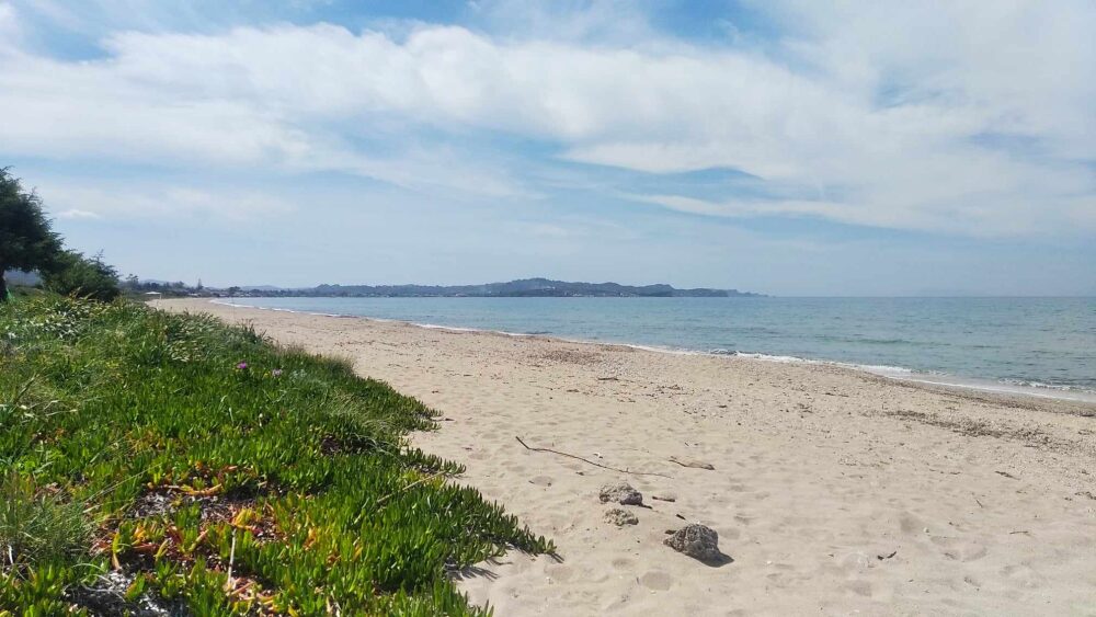 (for sale) Land Plot || Corfu Prefecture / Corfu - 20000.0sq.m, 850.000€