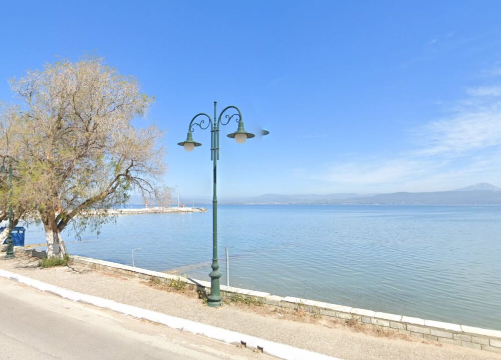 (Προς Πώληση) Αξιοποιήσιμη Γη Οικόπεδο εκτός σχεδίου || Τανάγρα /  - 98000τ.μ, 6150000&euro;