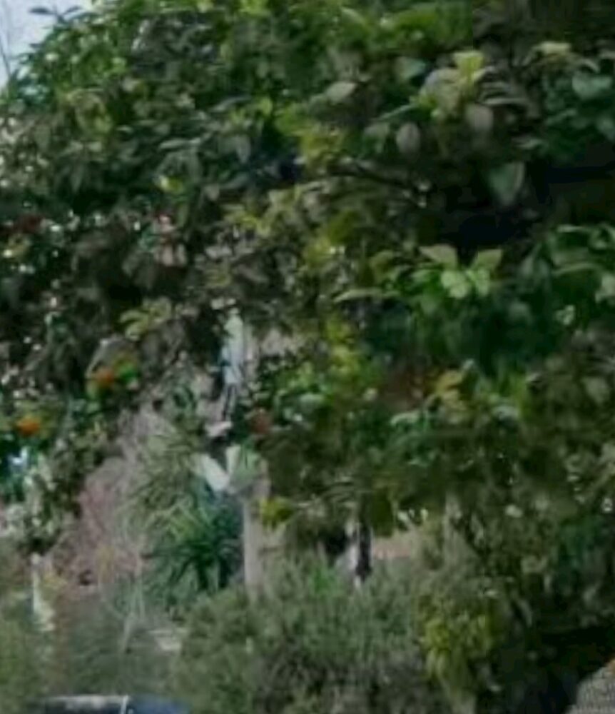 (προς πώληση) Επαγγελματικό Βιομηχανικός Χώρος || Αθήνα - Δυτικά Προάστια / Νέα Χαλκηδόνα - 480.0τ.μ., 450.000€