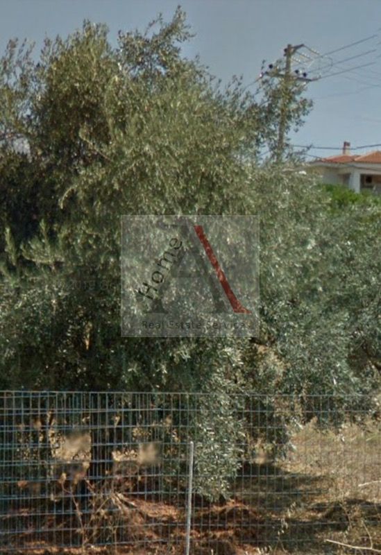 (for sale) Land Land within city plan || Athens north suburbs / Chalandri - 206.0sq.m, 180.000€