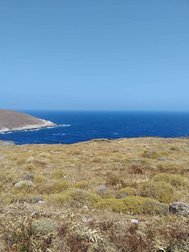 (προς πώληση) Αξιοποιήσιμη Γη Οικόπεδο || Ν. Κυκλάδων / Σέριφος - 8000.0τ.μ., 250.000€