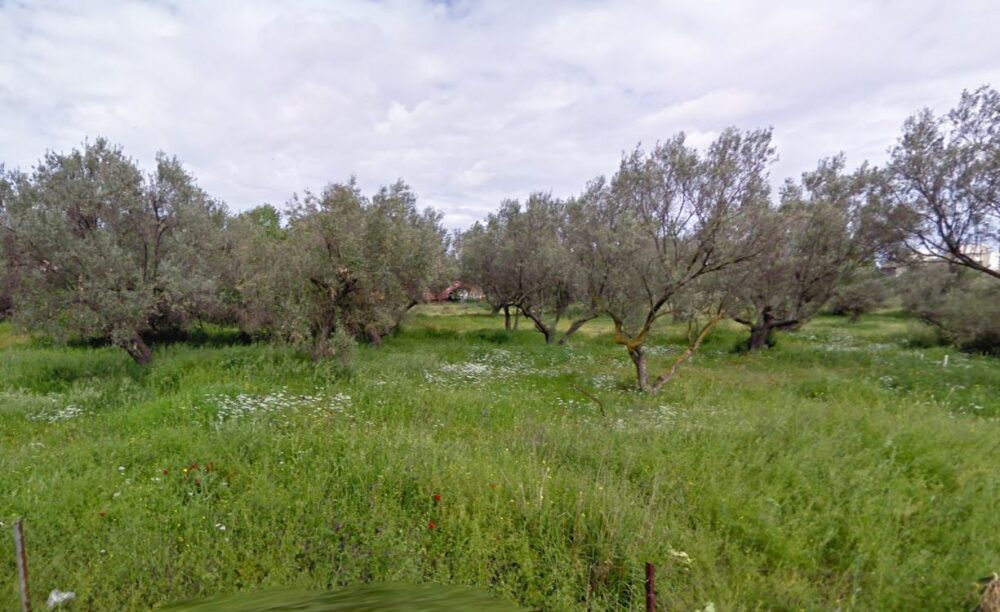 (προς πώληση) Αξιοποιήσιμη Γη Οικόπεδο εντός σχεδίου || Αθήνα - Βόρεια Προάστια / Χαλάνδρι - 785.0τ.μ., 700.000€