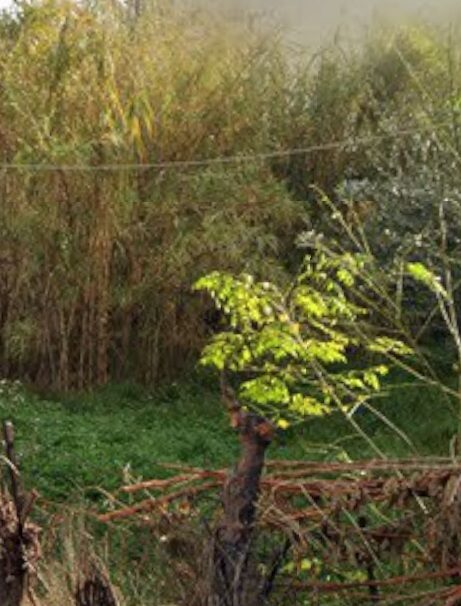 (for sale) Land Plot || Athens west suburbs / Ilion - 167.0sq.m, 120.000€