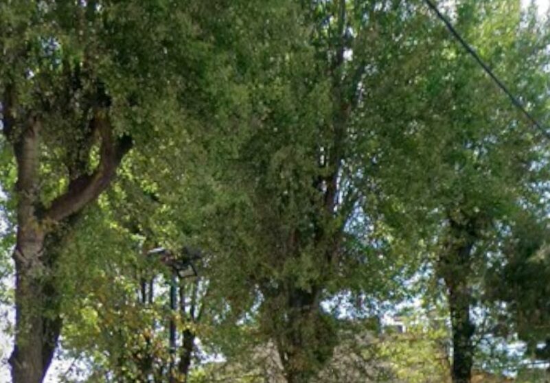 (προς πώληση) Αξιοποιήσιμη Γη Οικόπεδο || Αθήνα - Δυτικά Προάστια / Ίλιον - 327.0τ.μ., 360.000€