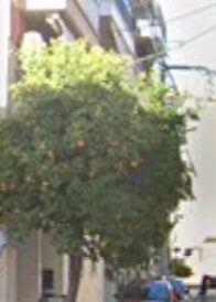 (προς πώληση) Αξιοποιήσιμη Γη Οικόπεδο || Αθήνα - Δυτικά Προάστια / Περιστέρι - 138.0τ.μ., 145.000€